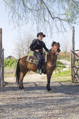 Kovboy ve kızgın at