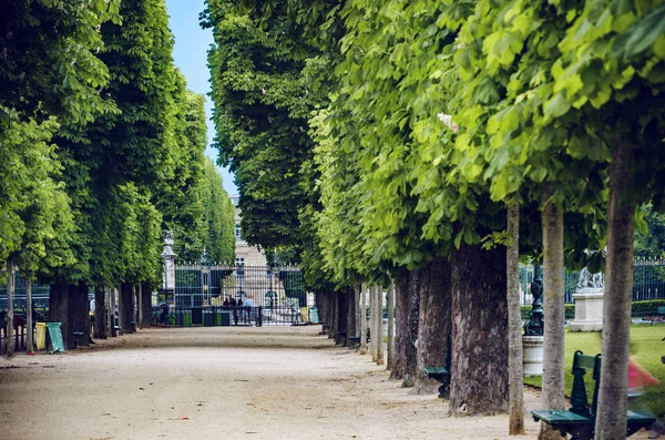 Passagen Gångväg Bland Träd Nära Luxembourg Palace Paris Frankrike — Stockfoto