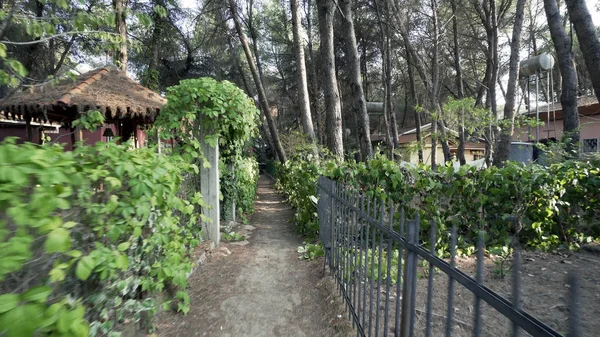 Pasaje Follaje Estrecho Entre Casas Madera Camping Bosque —  Fotos de Stock