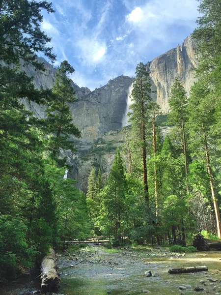 Landscape of Yosemite National Park, mountain background, river and waterfall among trees. Yosemite National Park is in Sierra Nevada Area.