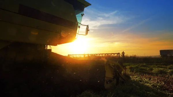 Combina Mietitrebbia Lavorando Sul Campo Sullo Sfondo Del Tramonto — Foto Stock