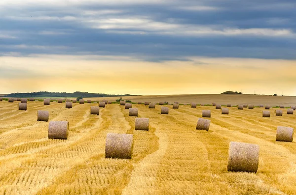 Dva Balíky Slámy Louce Při Západu Slunce Východ Slunce — Stock fotografie