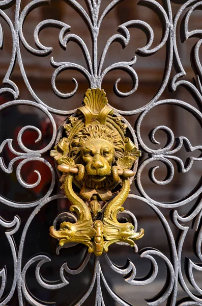 Декоративна Позолочена Голова Лева Золота Дверна Ручка — стокове фото