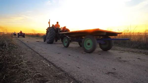 Tractor Agrícola Que Transporta Cultivos Cosechados Por Carretera Rural Contra —  Fotos de Stock