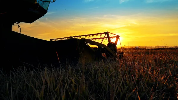 Combine Harvester Trabalhando Campo Fundo Por Sol — Fotografia de Stock