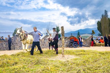 Kochani, Makedonya - Jun, 2015 yaklaşık: insanlar giyinmiş kaynaklanıyor olgun ayırmak için ATI kullanarak geleneksel giysiler içinde