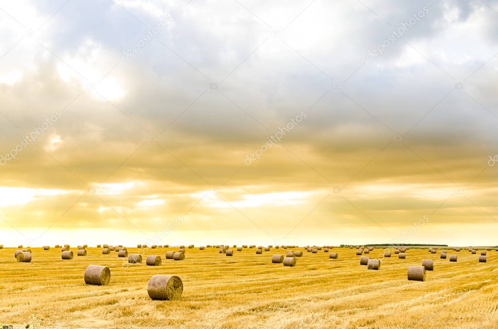 Autumn wallpaper - bale on field under beautiful sunrise orange sky. Photo with space for your montage