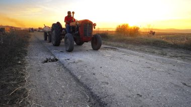Kırsal yolda hasat edilen ekinleri taşıyan tarım traktörü gün batımına karşı arka plandaki hasat makinesiyle birleşiyor.