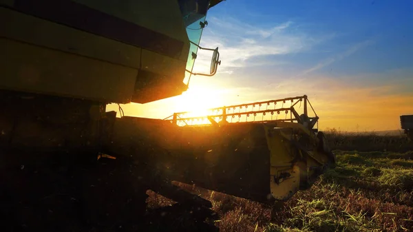 Maaimachine Werkt Veld Zonsondergang Achtergrond Combineren — Stockfoto