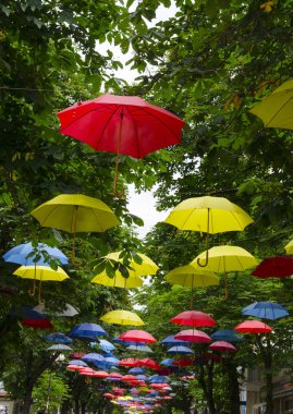 Sokak renkli şemsiyelerle süslenmiş.