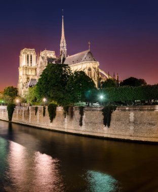 Notre Dame de Paris Alacakaranlık, Fransa, dikey