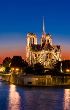 Notre Madame de Paris Katedrali, gün batımında, dikey