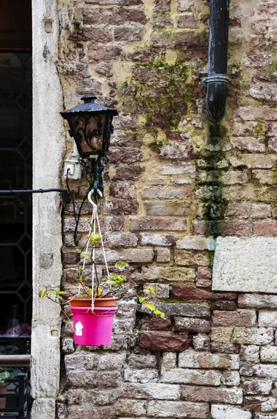 Цветы Кирпичной Стене Дома Красочные Дома Венеция Италия — стоковое фото