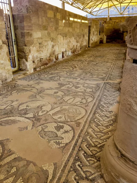 Fragmento Ruinas Mosaicos Romanos Antigua Iglesia Bizantina Ciudad Perdida Petra — Foto de Stock