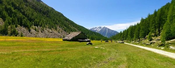 法国阿尔卑斯山壮观的全景 著名的徒步旅行的一部分 — 图库照片