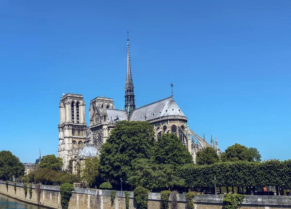 Notre Dame Animae Napos Párizs Franciaország — Stock Fotó