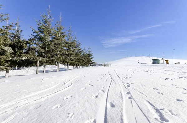 Peisaj Zăpadă Munți Pini Timpul Iernii Alpi — Fotografie, imagine de stoc