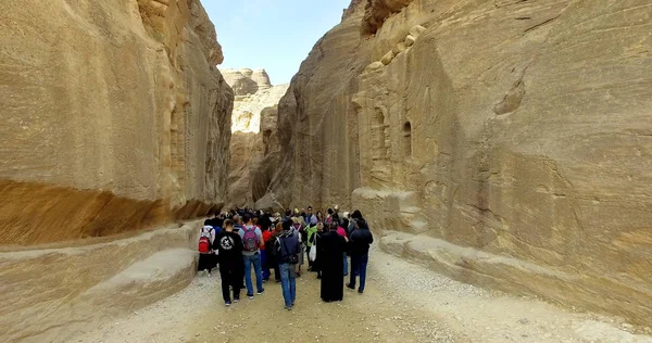 Petra Jordania Circa Jan 2018 Antiguo Carro Caballos Todavía Utiliza — Foto de Stock