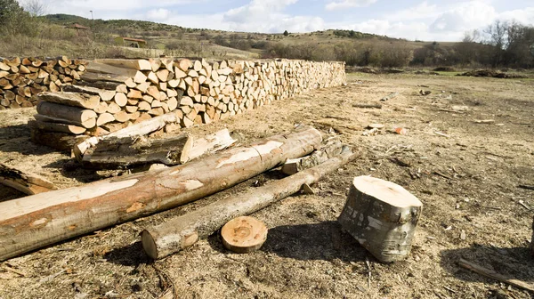 暖炉用の薪 木製の背景のクローズ アップは 薪をみじん切り 積み上げ縦棒グラフおよび準備ができて冬木製の丸太の山 — ストック写真