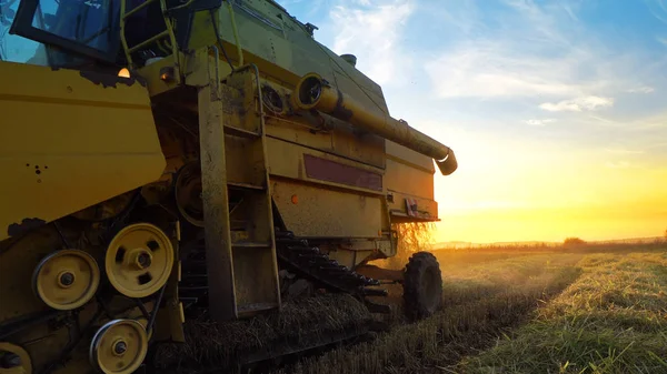 Skördetröska Som Arbetar Inom Området Sunset Bakgrund — Stockfoto