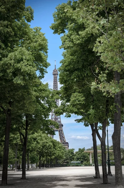 Eiffeltornet Ikoniska Paris Landmärke Sett Från Park Mellan Träden — Stockfoto