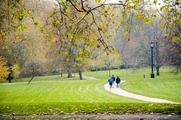 London Aproximativ Oct 2013 Hyde Park Vizitatorii Preferați Locurilor Vacanță — Fotografie, imagine de stoc