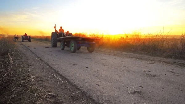 Jordbrukstraktor Som Transporterar Skördade Grödor Landsväg Mot Solnedgång Med Skördetröska — Stockfoto