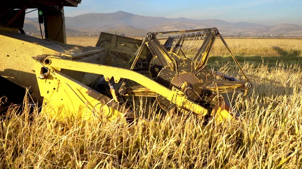 Combine Harvester Gathering Wheat Crop Daytime Royalty Free Stock Photos