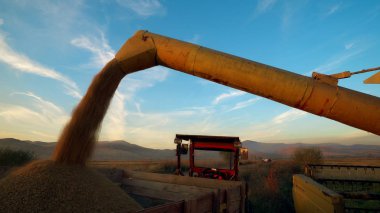 Doğa, tarım ve hasat