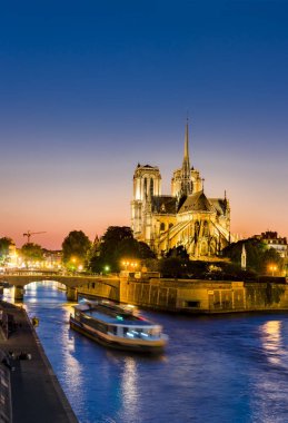 Notre Dame de Paris, Paris, Fransa 'da geceleyin Seine Nehri' nde yolcu gemisi ile düşey.