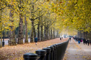 Londra - Ekim, 2013 yaklaşık: Hyde park geçit güzel altın sonbahar ağaçlarda