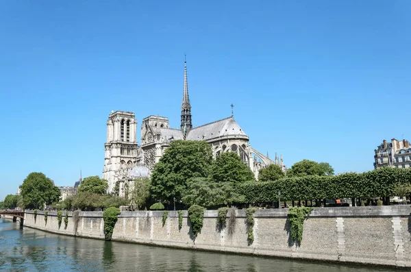 Notre Dame Látogatóink Folyó Szajna Párizs Franciaország — Stock Fotó