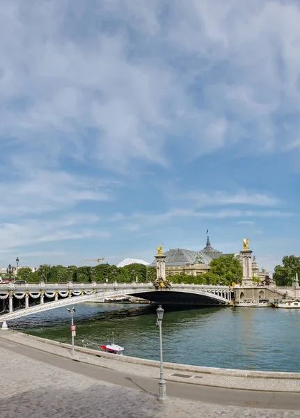 Pont Alexandre Iii Köprüden River Seine Paris Fransa Dikey Görünüm — Stok fotoğraf