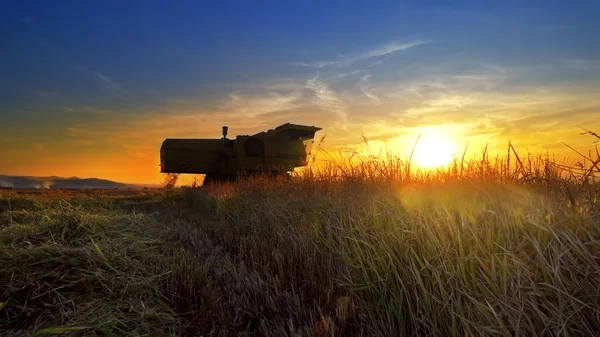 Maaimachine Werkt Veld Zonsondergang Achtergrond Combineren — Stockfoto