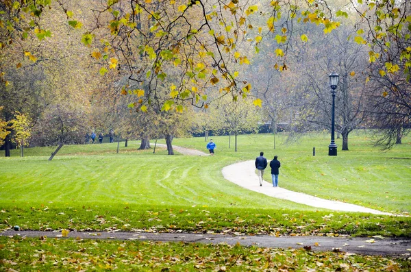 London Aproximativ Oct 2013 Hyde Park Vizitatorii Preferați Locurilor Vacanță — Fotografie, imagine de stoc