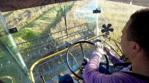 Zbiory Ryżu Połączyć Zbierając Rośliny Kinowej Steadicam Strzał — Zdjęcie stockowe