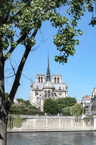 Cattedrale Notre Dame Paris Fiume Senna Una Morbida Luce Mattutina — Foto Stock