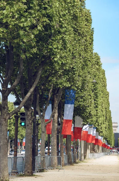 2017年5月10日 大道德香榭丽舍大街与国家节日旗帜挥舞着树木的原始 — 图库照片