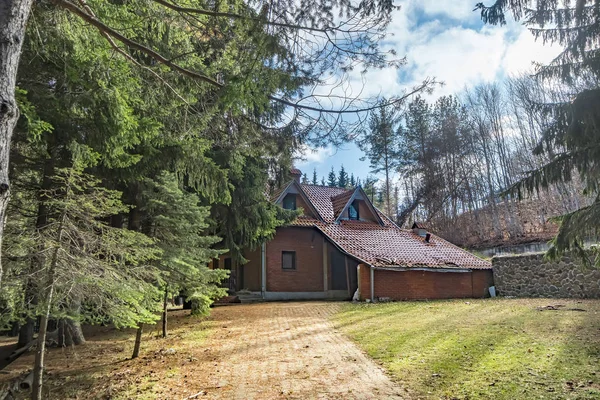 Dom Drewniany Domek Gęstych Sosnowych Głąb Góry Drzewo Wiecznie Zielony — Zdjęcie stockowe