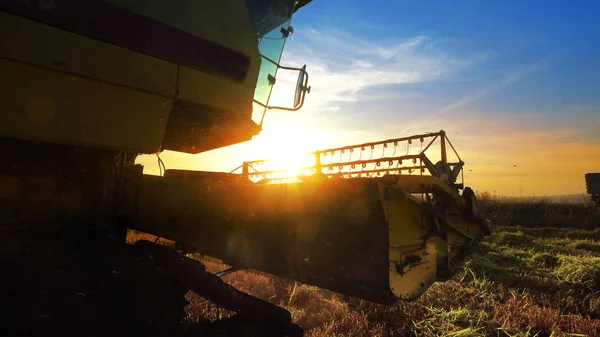 Combine harvester working in field on sunset background