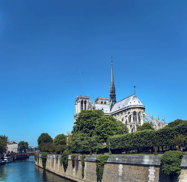 Tylnej Elewacji Katedry Notre Dame Ille Cite Paryż Francja Europa — Zdjęcie stockowe