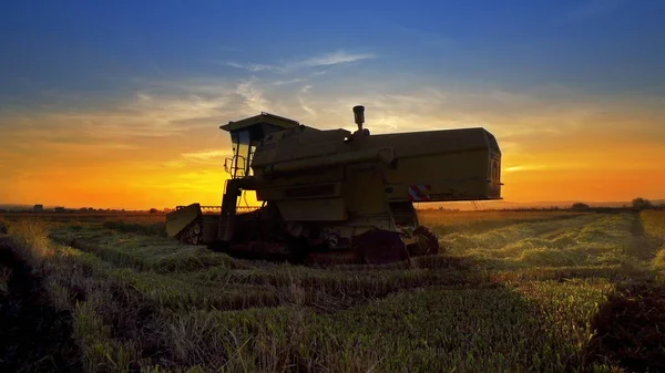 Combiner Moissonneuse Travaillant Dans Champ Sur Fond Coucher Soleil — Photo