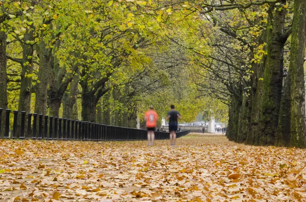 London Aproximativ Oct 2013 Jogging Hyde Park Vizitatorii Preferați Sporturilor — Fotografie, imagine de stoc