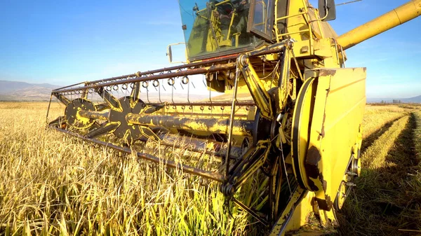 联合收割机在白天采集小麦作物 — 图库照片