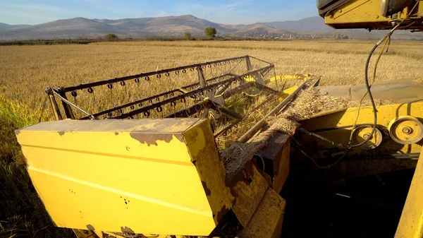 Combine Harvester Gathering Wheat Crop Daytime Stock Photo