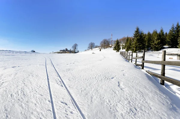 Een Pastorale Scène Van Sneeuw Bedekt Hekken Bomen Lopen Paden — Stockfoto