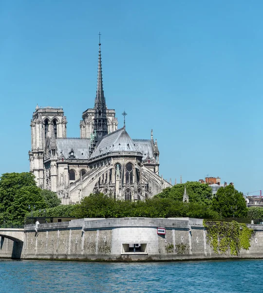 Notre Dame Paris Verticale — Foto Stock