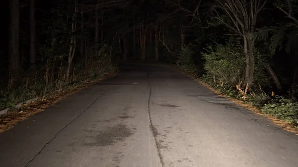 田舎道を夜間走行 — ストック写真