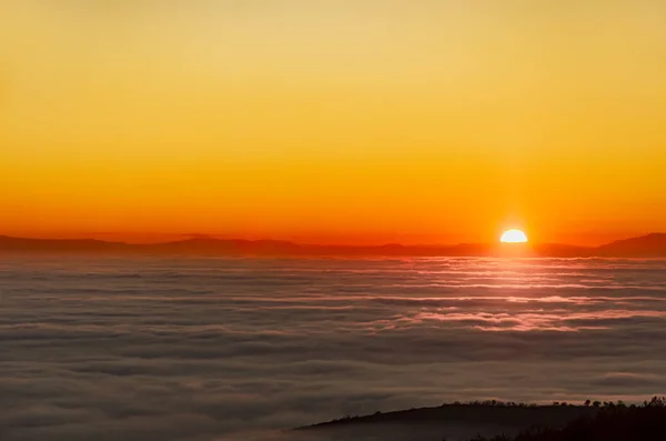 明るい 途方もなく美しいパノラマ ビュー 早朝に昇る太陽の黄金色の光に照らされた山の上の霧の海の上の色の夜明けの飽和 — ストック写真