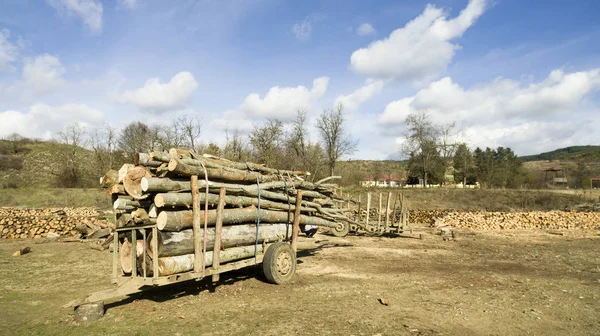 Brennholz Auf Einem Anhänger Bereit Für Den Transport — Stockfoto